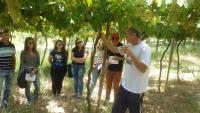 Visita Técnica - Vinícola Nardello pelode aluno para conhecer agroindústria legalizada para a produção de vinhos em Morro Redondo-RS.